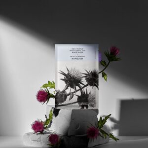 Shea & Cocoa Body Butter Base